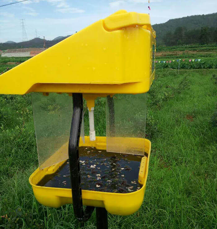讀太陽能殺蟲燈可誘殺的害蟲有哪些